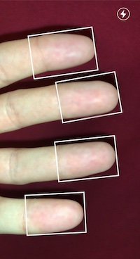 FingerprintsScanning